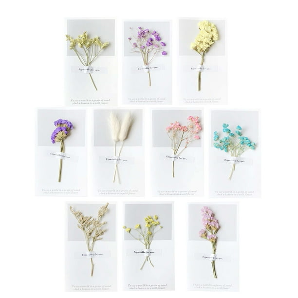 BRIGHTFUFU Tarjeta de regalo del día del maestro de 12 piezas Tarjetas de felicitación de flores secas del día de San Valentín (estilo aleatorio)