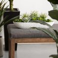 thumbnail image 4 of Bouclair Succulentes Blanches dans un Plateau en Ciment, 4 of 5