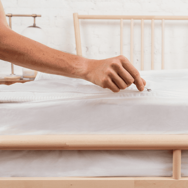 Allswell 360° Protection Zippered Mattress Protector, Queen Walmart