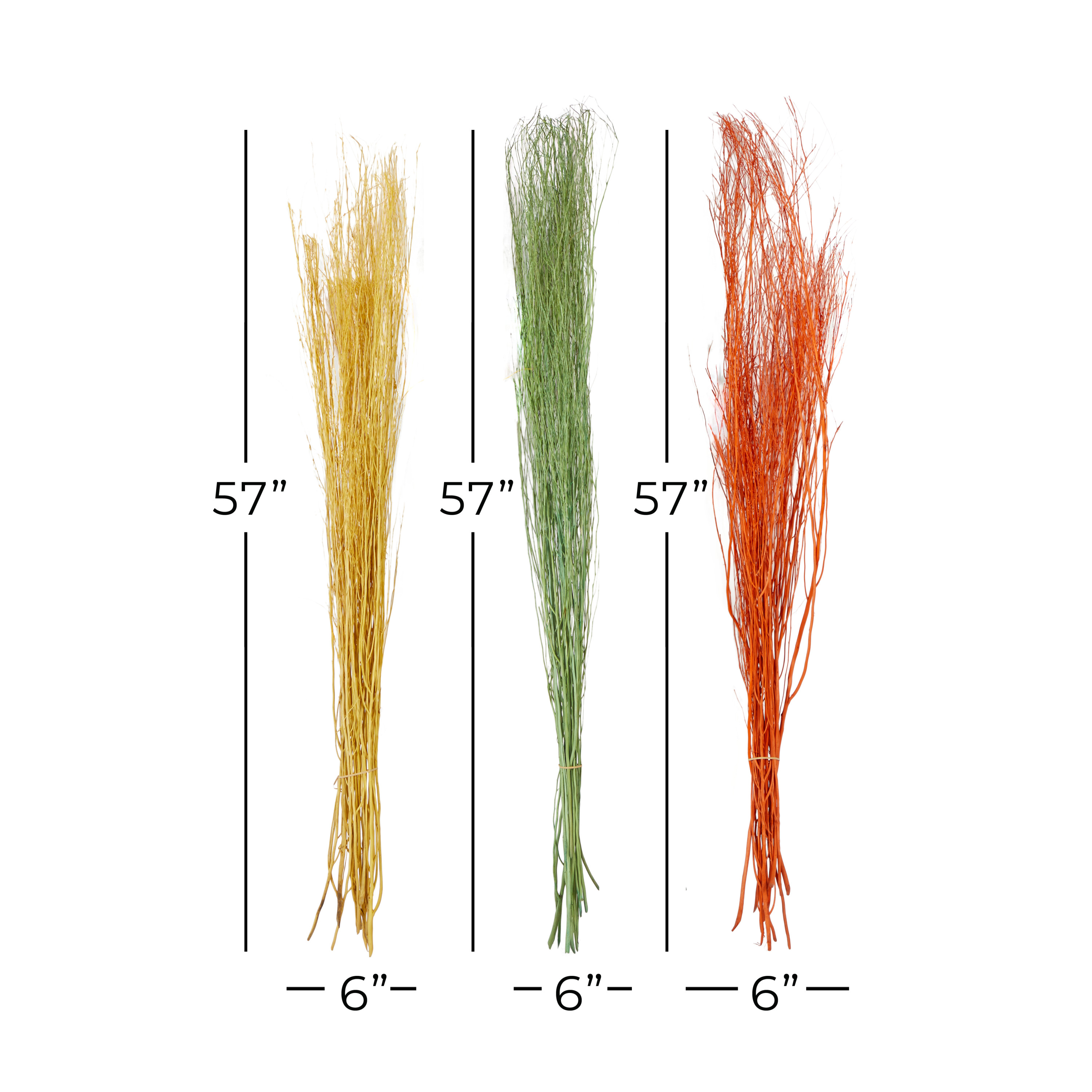 57" Dried Plant Natural Foliage Pigeon pea Bouquet, by DecMode (3 Count)