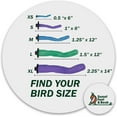 thumbnail image 2 of Large 12" Bird Cage Perch for Nail Trimming - Safe  Grooming Accessory, 2 of 7
