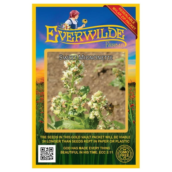 Everwilde Farms - 500 Sweet Mignonette Wildflower Seeds - Gold Vault Seed Packet