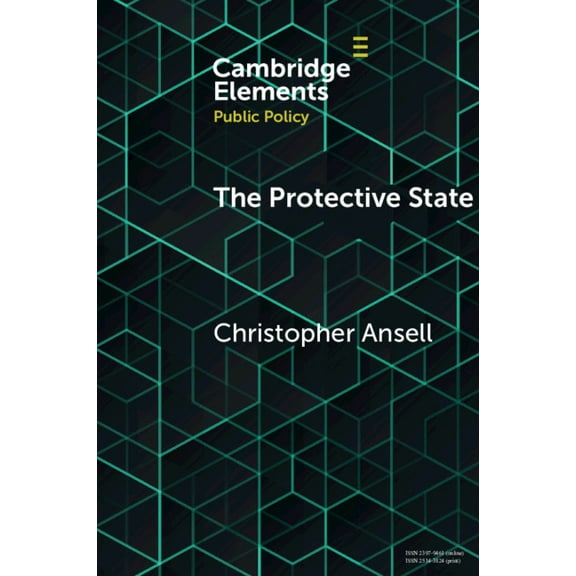 Elements in Public Policy The Protective State, (Paperback)