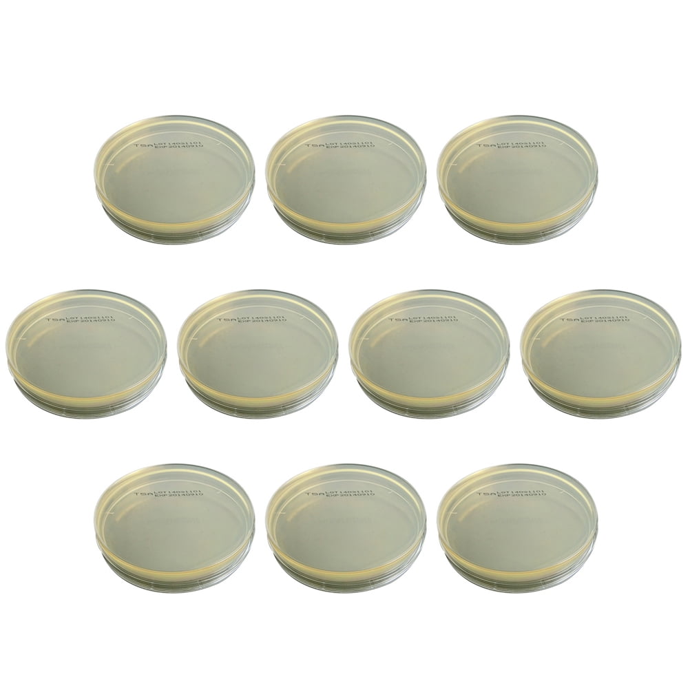 10pcs R2A Agar Plates Disposable R2A Agar Medium Agar Plates Biological