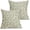 Daisy Sage Green, variant on Daisy Floral Block Print Pillow Covers 20X20 Inch Sage Green Beige Flowers Decorative Square Pillow Cases Set of 2 Farmhouse Home Decor Vintage Rustic Cute Throw Pillows for Sofa Couch Outdoor