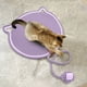 thumbnail image 5 of Xihbxyly Rascador Tejido para Mascotas, Juguete Interactivo con Resorte, Cuerda de Sisal, Protector de Muebles, Juego de Interior para Gatos, Divertido Tapete para Garras, 40 X 40 X 2 Cm, 5 of 7