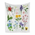 thumbnail image 1 of Pansy Soft Flannel Fleece Blanket, Marigold Lily Iris Cypress Vine Nemophila Types of Exotic Flowers Written Names, Cozy Plush for Indoor and Outdoor Use, 60" x 80", White Multicolor, by Ambesonne, 1 of 6