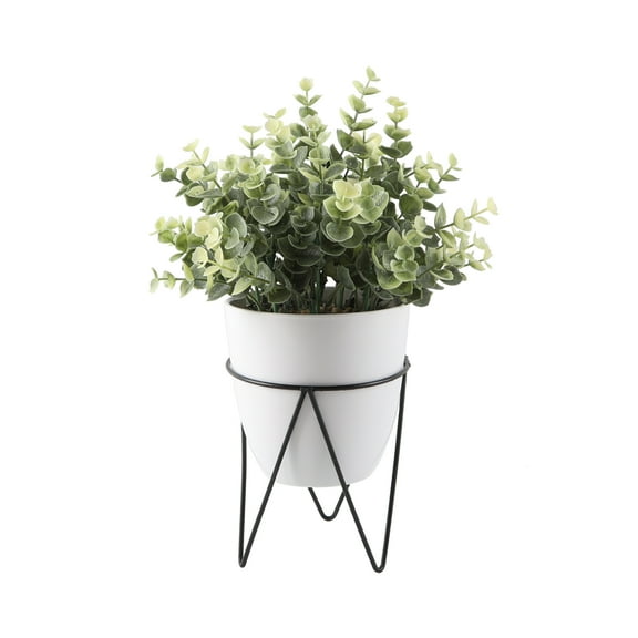 12" Eucalyptus in 4.75" White Ceramic Pot in BK Metal Stand