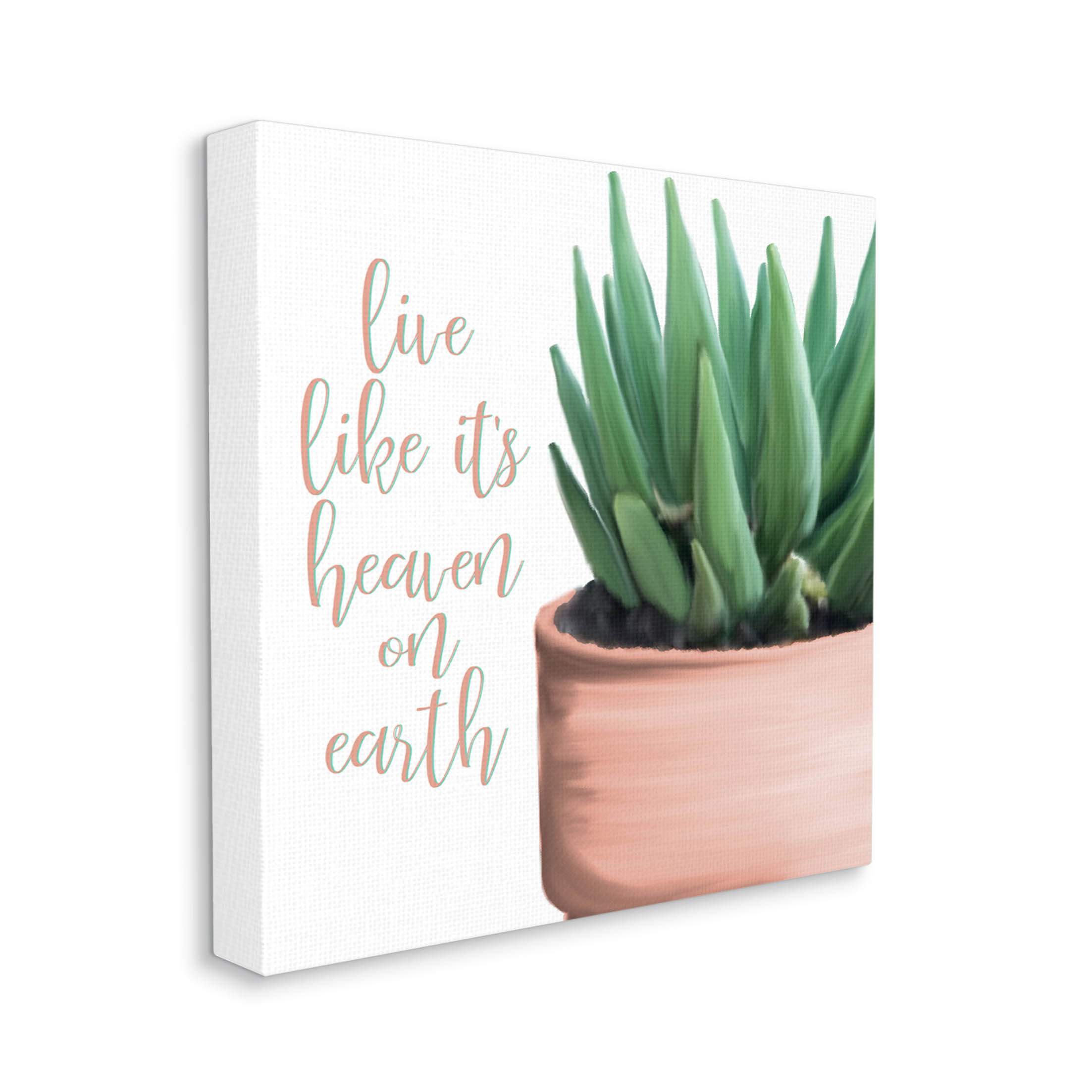 Stupell Industries Like It's Heaven On Earth Plant Graphic Art Gallery Wrapped Canvas Print Wall Art, Design by Kim Allen