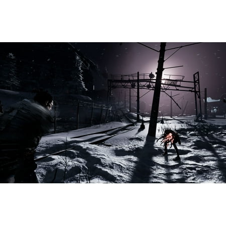 Fade to Silence, THQ-Nordic, Xbox One, 811994021427