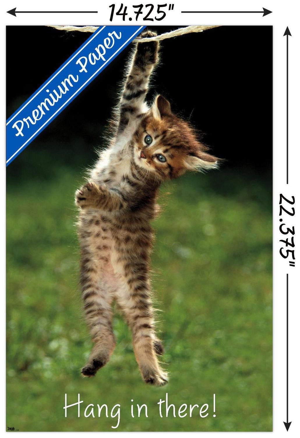 Famous Kitten Hang In There Poster Wall Poster, 22.375" x 34"