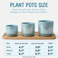 thumbnail image 2 of BUYMAX  Plant Pots, 4+5+6 Inch Pots for Indoor Plants,Ceramic Planter Pot with Drainage Hole,Flower Pots for Succulent Cactus,Set of 3 - Rainbow Pearl Glaze Blue, 2 of 8