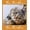 Photo 4-1, variant on Gifts for Cat Lovers, Custom Cat Themed Blanket Personalised Photo Blanket for Pets, Cat Lovers Gift Ideas Soft Throw Blankets for Women Girls Christmas Birthday Gifts with Cute Cats