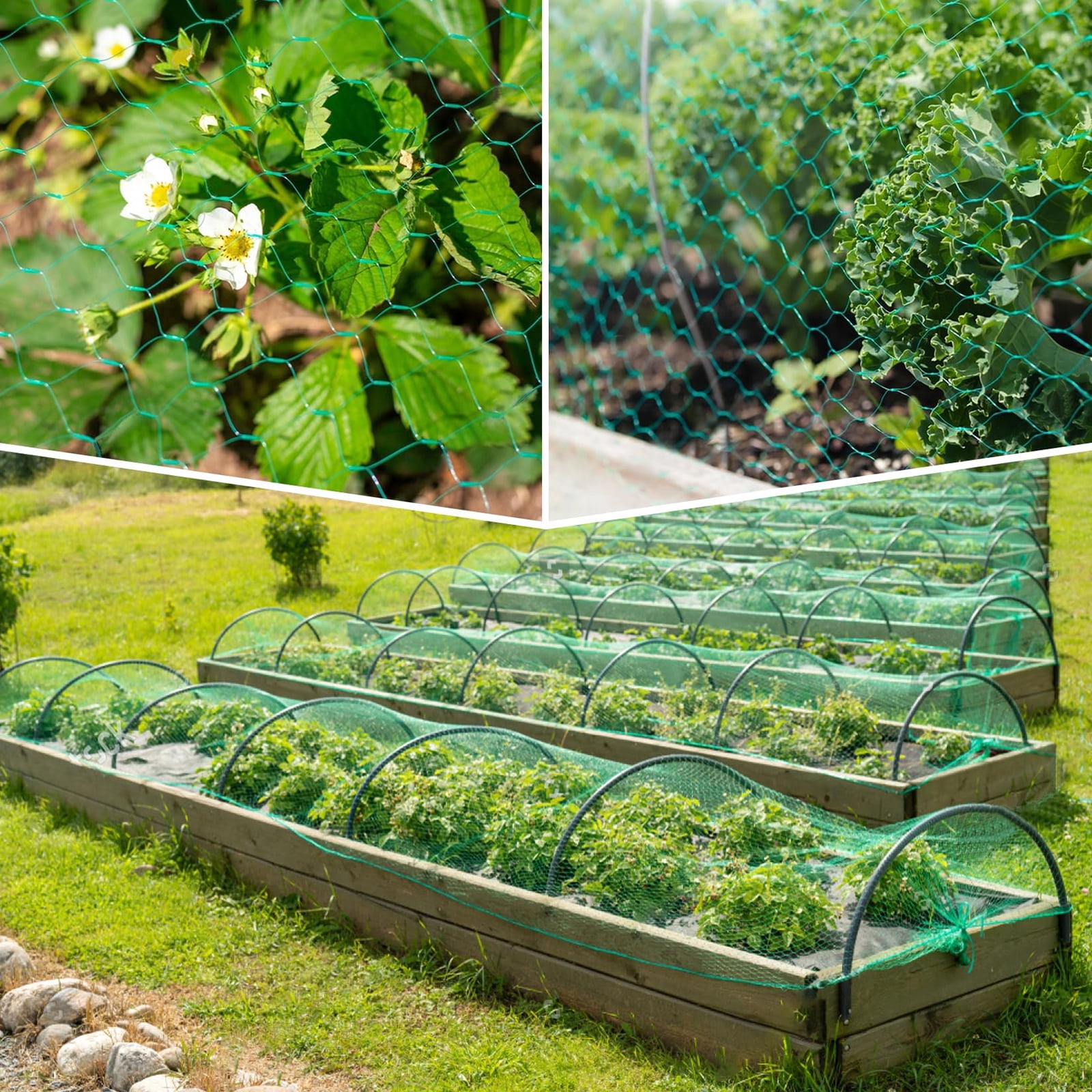 Garden Plant Fruit Protect Net and Garden Mesh Netting for Birds, Deer, Squirrels, Plants, Fruits Tree - Reusable Protective Mesh Netting