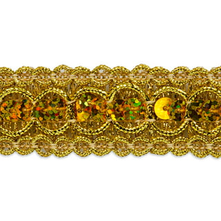 Expo Int'l 5 Row 1 3/4 Metallic Stretch Sequin Trim by the yard (Sold by  the Yard) 