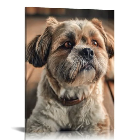 RKSupls Shih Tzu Dog Canvas Wall Art, Canvas Prints Wall Art for Living Room Bedroom Entryway Office, Art Print Painting for New Year Home Decorations,12x16in