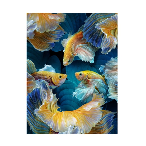 Trademark Fine Art Marcel Egger ColorFish Canvas Wall Art