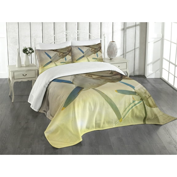 Ambesonne Vintage Airplane Quilted Bedspread Set 3 Pcs, Old Aircraft, Queen Size, Brown Blue Yellow