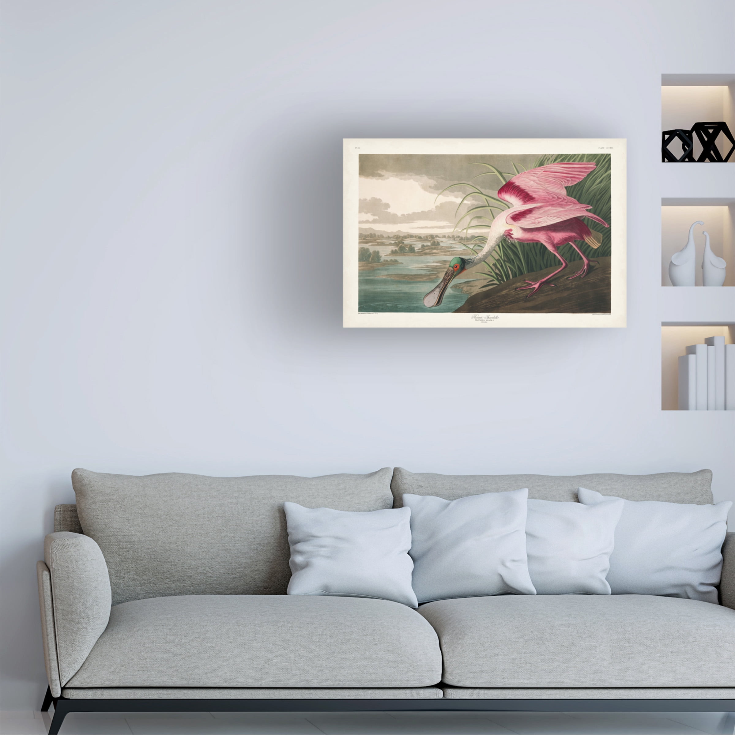 John James Audubon 'Roseate Spoonbill' Canvas Art