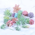 thumbnail image 2 of Bangcool Artificial Succulent Plants Assorted 21PCS Cute Mini Fake Succulents Home Decor, 2 of 10