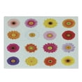 thumbnail image 1 of Gerber Daisy Cutting Board, Various Colorful Petals on Plain Backdrop Summer Flora Romance Print, Decorative Tempered Glass Cutting and Serving Board, in 3 Sizes, by Ambesonne, 1 of 2