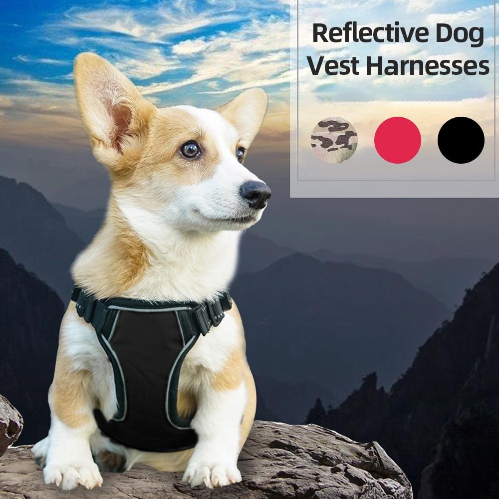 service dog vest walmart