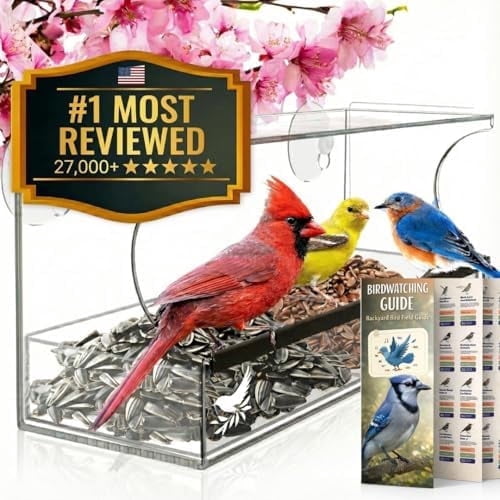 Window Bird Feeder by Nature’s Hangout - Award-Winning Clear Acrylic Bird Feeders for Outdoors, No Assembly, Strong Suction Cups, Bird Watching for Cats, Easy-to-Clean Birdhouse