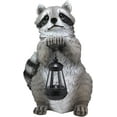 thumbnail image 2 of YTC SUMMIT North American Raccoon Statue Holding Solar Powered Lantern LED Light Patio Decor Indoor Outdoor Racoon, 2 of 5