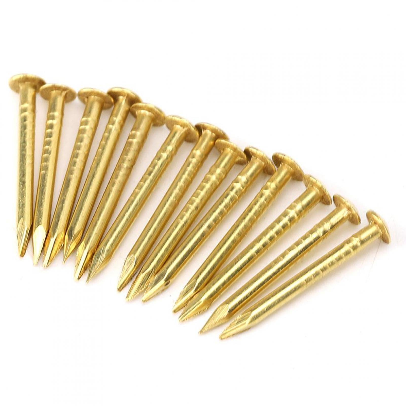 EOTVIA 100Pcs Brass Tacks, Round Head Brass Brad Nail Hardware Nail