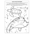 thumbnail image 4 of South Carolina State Coloring Book 8.5x11, 4 of 5