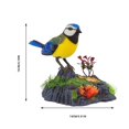 thumbnail image 4 of POINTERTECK Electronic Talking Repeating Singing Chirping Bird With Motion Sensor Activation Pronunciation Kids Electric Animal Toy, 4 of 6