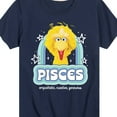 thumbnail image 3 of Sesame Street - Pisces Big Bird - Toddler and Youth Short Sleeve Graphic T-Shirt, 3 of 5