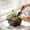S, variant on WEGFTDUOP Flowerpot Potted Home Gardening Balcony Succulents Plants Pot