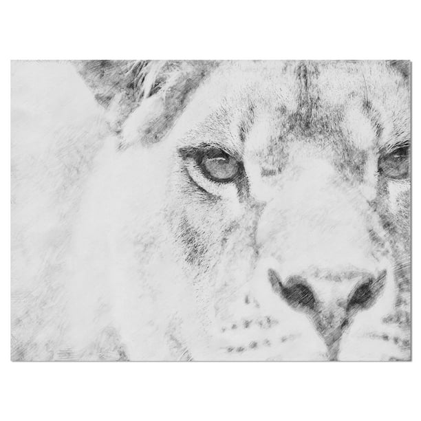 DESIGN ART Designart 'Black and White Lion Pencil Sketch' Animals Print on  Wrapped Canvas 40 in. wide x 30 in. high 