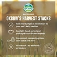 thumbnail image 3 of Hay Stacks Oxbow Animal Health Harvest Western Timothy, 1 kg, 3 of 7