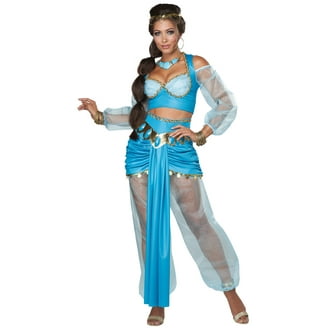 Disney Adult Princess Belle Blue Dress Halloween Costume, Size Large 12-14  - Walmart.com