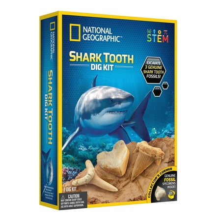National Geographic Kids STEM Series Shark Tooth Dig Kit