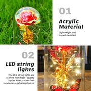 Qoosea Eternal Rose with Butterfly in Glass Dome Red Roses with LED Light Artificial Flowers Mothers Day Birthday Valentines Day Christmas Gifts