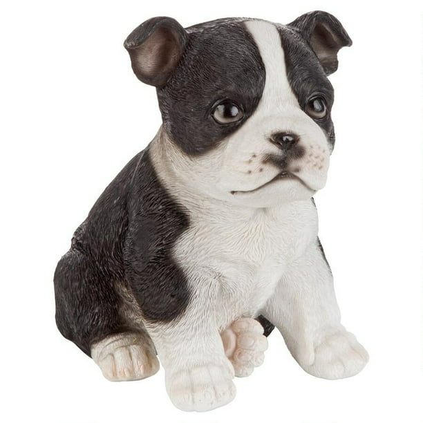 adorable seated boston terrier puppy collectible figurine