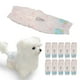 thumbnail image 5 of Pañales desechables para perros femeninos, cuidado de mascotas pañales desechables para perros femeninos súper absorbentes transportables un prueba de fugas pañales absorbentes, 5 of 7