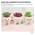 thumbnail image 2 of 3pcs Teeth Shaped Small Flowerpot Ceramics Succulents Pots Cactus Plant Pots, 2 of 6