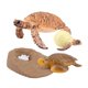 thumbnail image 5 of de de simución modelo Animal tortuga Animal de accesorios de enseñanza juguete educativo - Tortuga 2423 2423 Hugo Juego de crecimiento de insectos para niños, 5 of 9