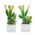 thumbnail image 1 of 2 uds simulación de planta de cactus suculenta bonsái pequeños adornos creativos macetas cuadradas plantas verdes artificiales, 1 of 5
