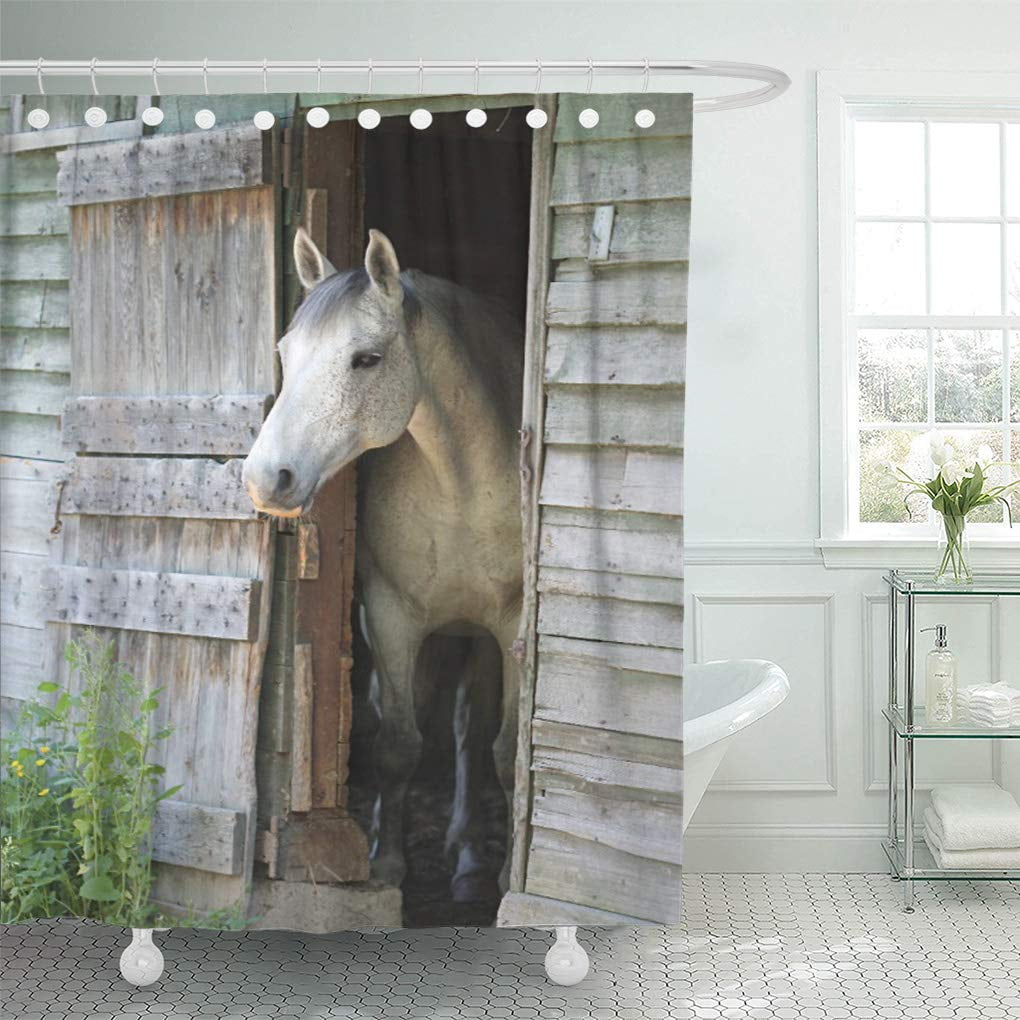 Cynlon Gray Horses Beautiful Horse, Horse Bathroom Decor