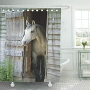 SUTTOM Gray Horses Beautiful Horse Rustic Barn Equine Flea Bitten Shower Curtain 66x72 inch