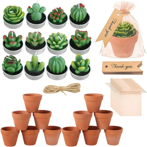12 Sets Succulent Candle Presents with Terracotta Pots, Mini Cactus Tealight Candle with Organza Bag, Thank You Tag, Twine, for Shower, Wedding, Birthday, Fiesta, Plant Party Decor