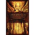 thumbnail image 1 of Liber Spirituum: un Recueil d'Écrits sur les Anges et Autres Esprits dans la Magie Moderne, 1 of 1