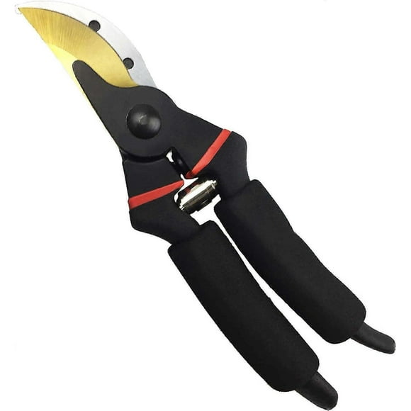 Gonicc garden scissors, straight blade made of steel and titanium (GPPS-1003). Flower scissors
