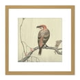thumbnail image 1 of Ohara Koson Crossbill On Tree Branch Japanese 8X8 Inch Square Wooden Framed Wall Art Print Picture with Mount, 1 of 4