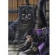 thumbnail image 1 of Pintura de diamante 5D DIY gato negro Full Round Drill Rhinestone Hugtrwg Para estrenar, 1 of 9